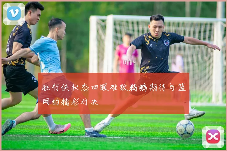 独行侠状态回暖难敌鹈鹕期待与篮网的精彩对决